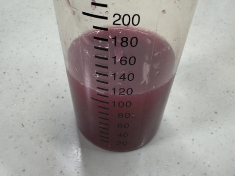 【希少な国産ザクロ】大実日本甘ザクロ 1~2個 兵庫県旧有馬郡産 柘榴 ザクロフルーツ 有馬温泉の麓よりお届け🛻 栽培期間中農薬不使用・自然栽培『フルーツの宝石・子宝の象徴』