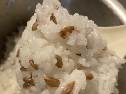 【数量限定】北海道産　希少なライ麦もセットに！
手軽に噛む習慣を！ご飯と一緒に炊くだけ！
玄ライ麦、玄小麦、黒千石大豆、小粒大豆（各200g入）４種セット