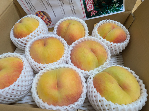 【晩夏のギフトに！】果汁たっぷり！関農園の桃『黄金桃』3kg（6～9玉）