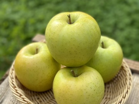 青森県産りんご　王林　家庭用2kg　【5～10個入り】