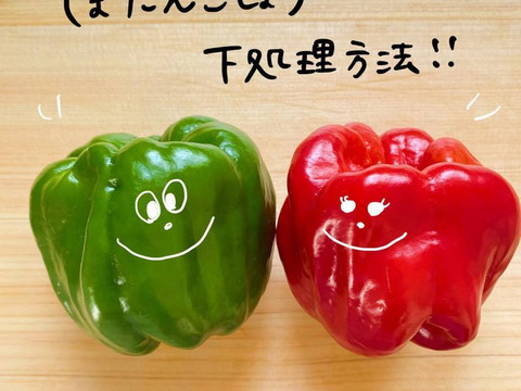 10/31締切‼︎甘くて辛い！長野・信州の伝統野菜ぼたんこしょう（１ｋｇ  約１５〜２０個）