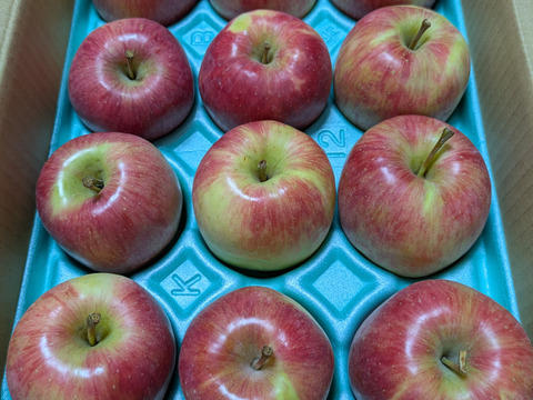 【予約販売・数量限定】長野県産りんご３㎏（スリムレッド）（１１月発送）甘酸適和・小玉