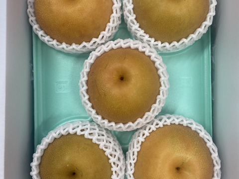 岡山県産『新高梨』3kg以上！