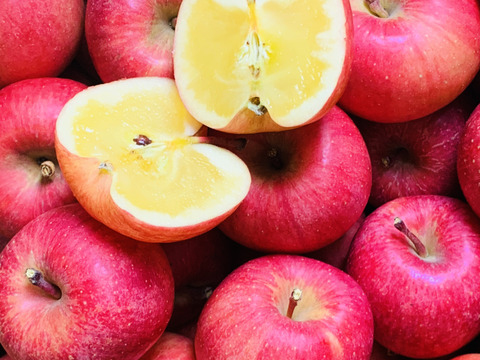 幻の蜜りんご‼️山形県産こうとく【特秀3キロ】