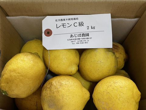 農薬不使用レモンC級1.8kg