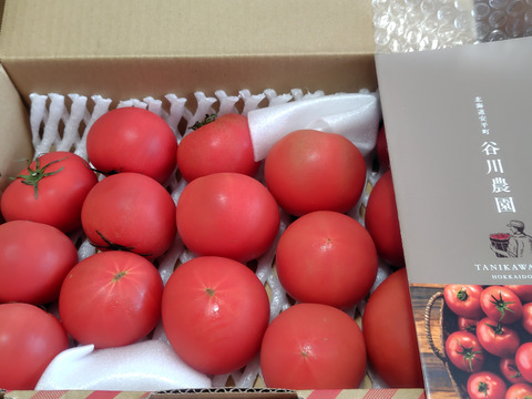 【北海道産】🍅樹上熟3段採り🍅桃太郎トマト2kg箱〈訳あり品〉