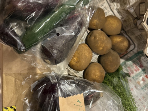 【秋のカボチャセット】農薬不使用で育てたどっしりかぼちゃ5個以上と採れたて季節の野菜盛りセット　 農薬不使用栽培で丁寧に育てました。