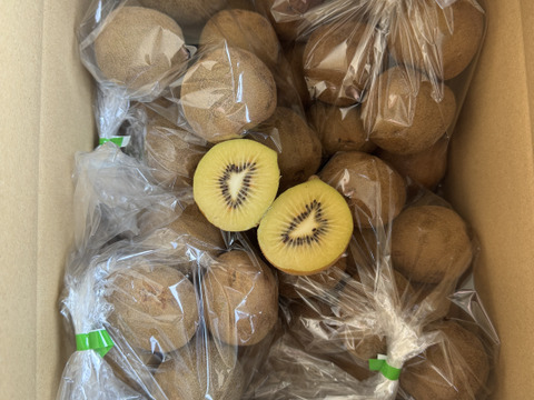 【家庭用たっぷり】30〜35個入るキウイ 約3kg
農薬・化学肥料不使用｜八女産アップルキウイ