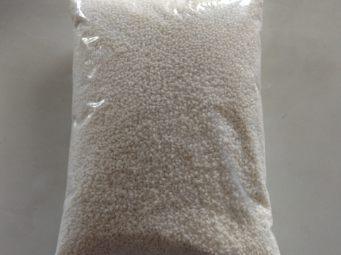 2025年産もち米（モチミノリ）2.1kg　白米