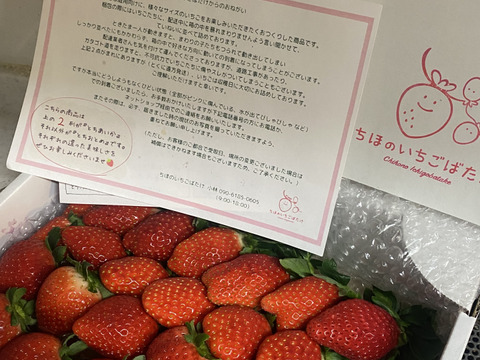 春SALE!!
トクトク🍓いちごの宝石箱
朝摘み完熟❤️酵素栽培のこだわりいちご
【いちご食べ比べ】
