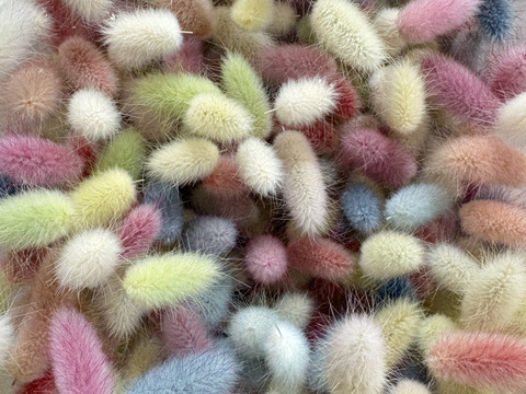 ‘‘ノウフク”カラフルラグラス100本束