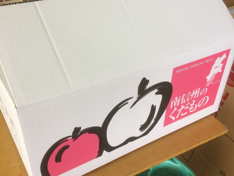 豊水　家庭用10㎏超特大20玉