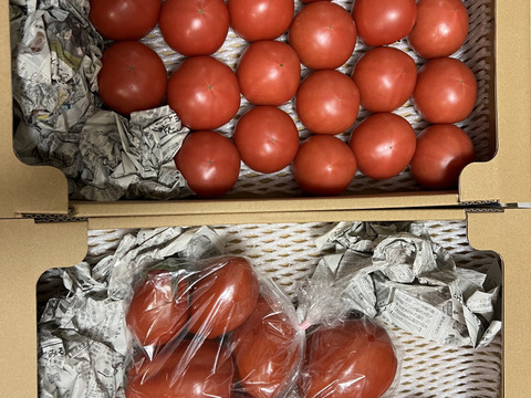 【牛の心臓トマト3kg】加熱調理で旨味抜群のイタリアン品種！（２０～４０玉）