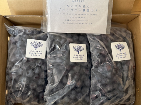 2025年産・完熟で風味豊か！茨城県産無選別冷凍ブルーベリー400g×3p