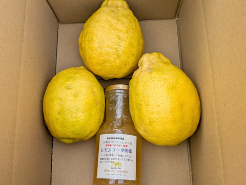 日本平ソーラーレモン®璃の香とレモンソーダの素セット『静岡県産』