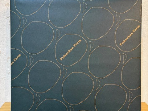 【ギフトに◎】果汁100％高知県東洋町産ぽんかんジュース10本入贈答箱（1本180ml）