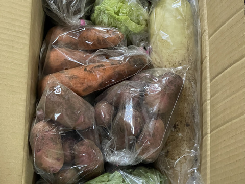 【選べる】オーガニック野菜セット(9品)