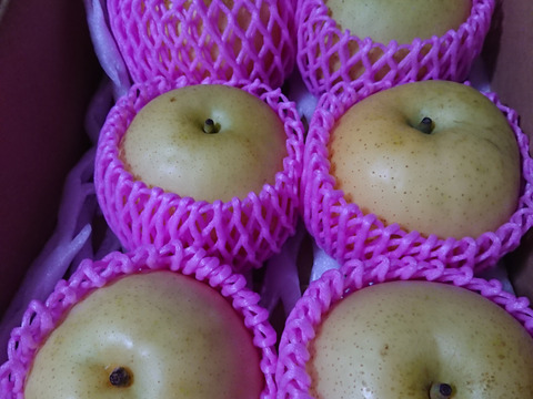 なつひめ梨　3キロ