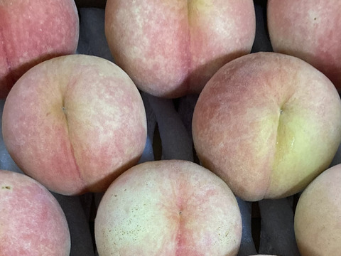 🍑桃水🍑3キロ箱　訳あり家庭用