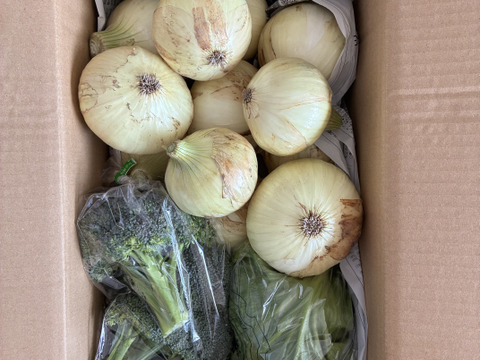 大好評，地層が違う淡路島、訳訳あり新玉ねぎスーパーアップ３キロ(風袋込み)