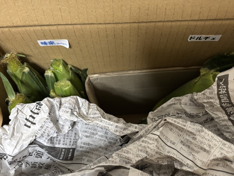 【収穫開始しました！！】2品種食べ比べセット5kg(１０～１５本)☆プチプチ食感がおいしい激甘とうもろこし☆