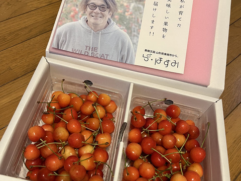 ★山形さくらんぼの産地東根市より初夏の味わい★～朝摘み～のもぎたて★さくらんぼ★佐藤錦★　ご家庭用　約１ｋｇ　ご家族でいかがですか？