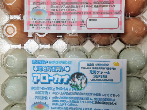 【在庫僅少】 出荷当日の朝採り新鮮お届け致します！平飼い濃厚卵 純国産赤鶏 その他