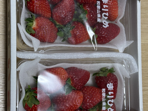 朝採りいちご　まりひめ　デラックスサイズ