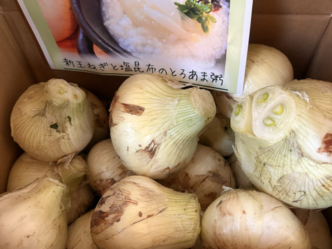 【家庭用】元気いっぱいの淡路島　新玉ねぎ！（5ｋｇ）【ひょうご安心ブランド認証】訳あり