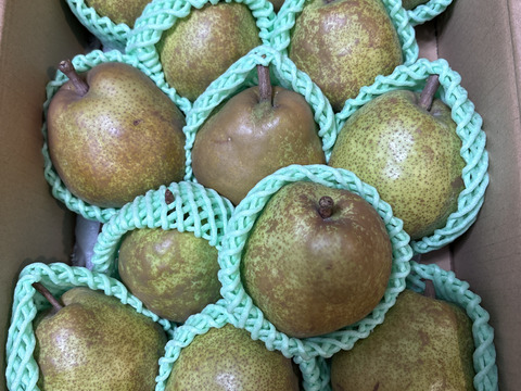 フードロスにご協力下さい‼️山形県産ラフランス【訳あり4キロ】