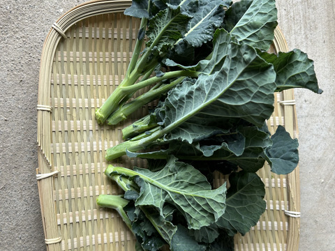 アレッタ600g/期間中農薬不使用、有機肥料主体