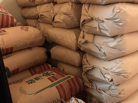 福岡県産　元気つくし　玄米5キロ
冷めても美味しい！　もちもちの食感！