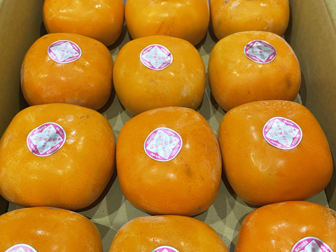 【ご予約】家庭用 糖度に自信！刀根早生柿誕生の地より直送 たねなし柿  SDG.s 2L～L　12玉入りです。たくさんの方に味わっていただきたくて企画しました。