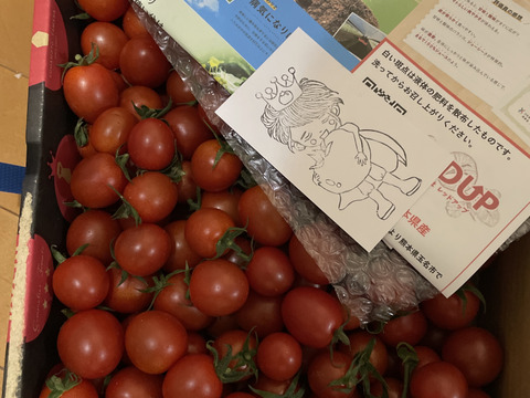 【塩トマトのようなフルーツトマト】ソムリエミニトマト　ダイヤ
箱込み２kg（９０玉～１５０玉）