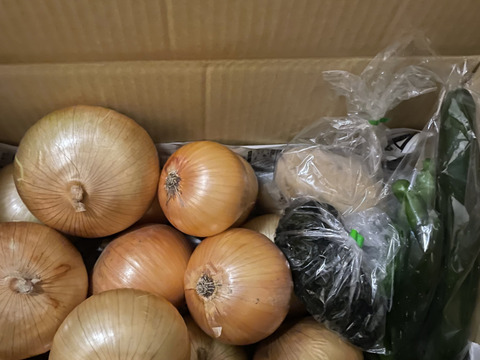 大好評，地層が違う淡路島、大玉、新玉ねぎ、七宝早生(風袋込み3キロ)