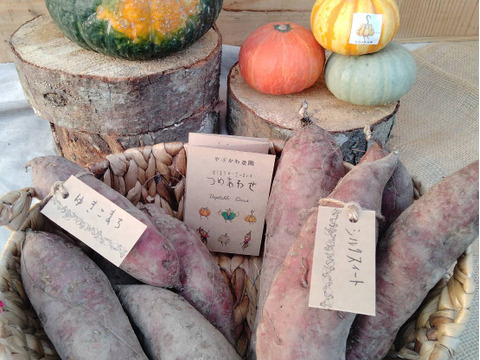 かぼちゃ・さつまいも食べ比べセット！4.5kg