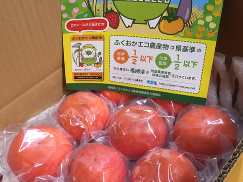安全、あま～い！ふくおかエコ農産物認証の富有柿
冷蔵ご家庭用約５kg詰め
