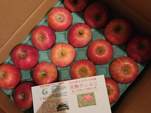 かわいい完熟サンふじ　「小玉ちゃん」　丸かじりサイズ　5キロ箱コース（18個から23個入り）ご好評販売中