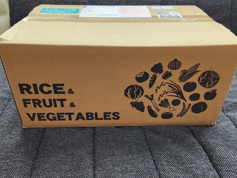静岡奥浜名湖産太陽さんさん青島みかん（７kg、Ｂ品）