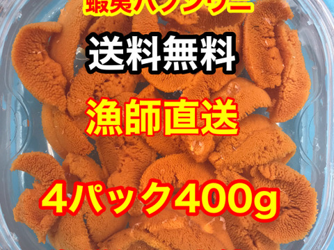 （実質送料無料）蝦夷バフンウニ（北海道利尻島産）4パック 400g入れ