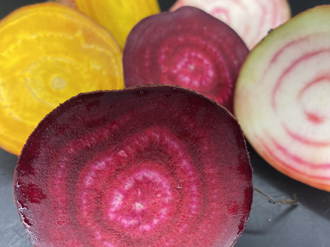 【食べくらべ】　京都産　ビーツ　カラフル3色　約1.5kg　(葉なし泥つき5～9個程度 )