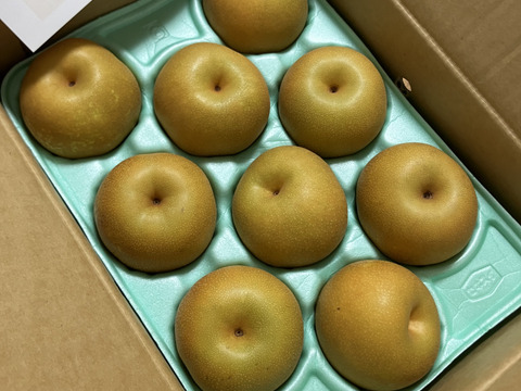 幸水】3kg （9玉）【家庭用】甘くてジューシーな梨！：千葉県産の幸水