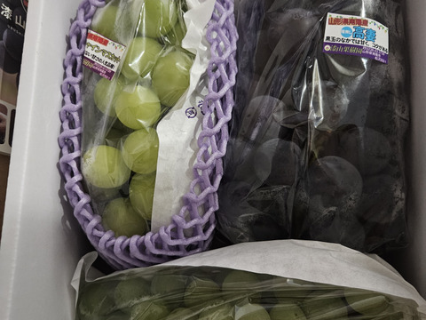 【福袋2025】食べチョク農園人気セット！！9月上旬～収穫出来次第の発送★大粒ぶどう食べ比べ！！おまかせで3～5品種入り