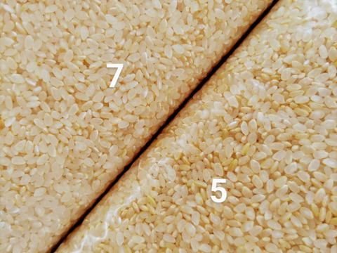 【5分づき精米4kg（2kg×2袋）】米・穀類🥇１位受賞✨食べチョクAW2023・一等米【特別栽培コシヒカリ】【80】有機質肥料のみ動物性堆肥不使用・低農薬（80％以上減）【令和６年産】