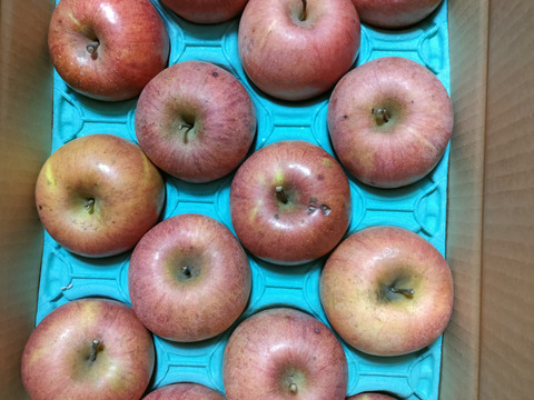 プライスダウン！！信州りんご🍎C品8キロ