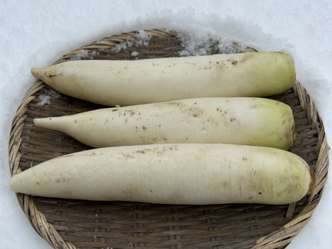 【農薬・化学肥料不使用】MOA自然農法で育った大根・赤かぶ4種セット 2kg