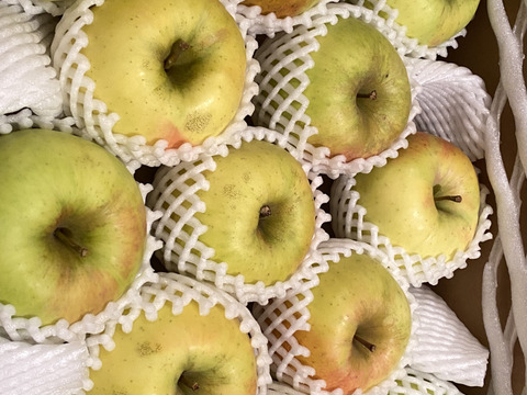 販売中！】青森県産りんご「ぐんま名月」家庭用 キズ有 約5kg 【光