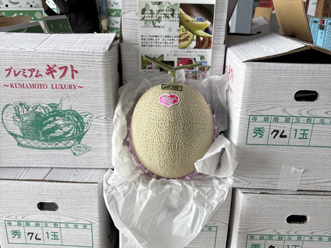 【今週限定】ラブコールメロンは1年で1週ほど！1粒のタネから1玉だけ大切に育てました！ちぎりたてでも甘さに驚くラブコールメロン1玉入り(2.3kg～3kg)