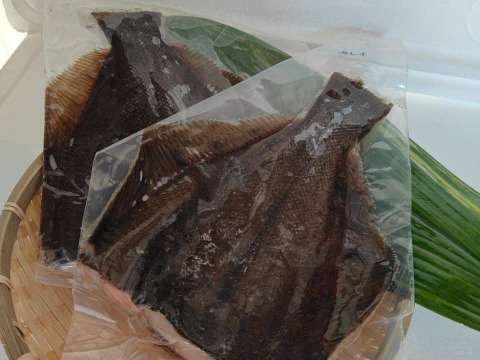 とれたて！新鮮！カレイ切り身2切れ（400～500ｇ）