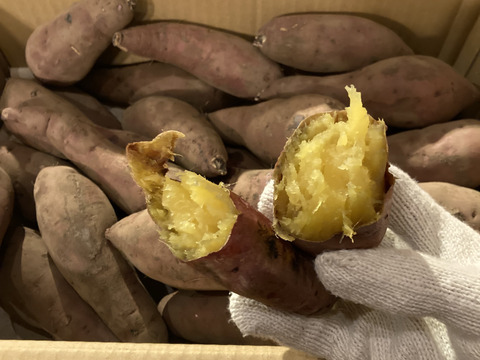 【準備中】【紅優貴（べにゆうき）】有機JAS認証さつまいも 紅はるかS・SSサイズ 5kg